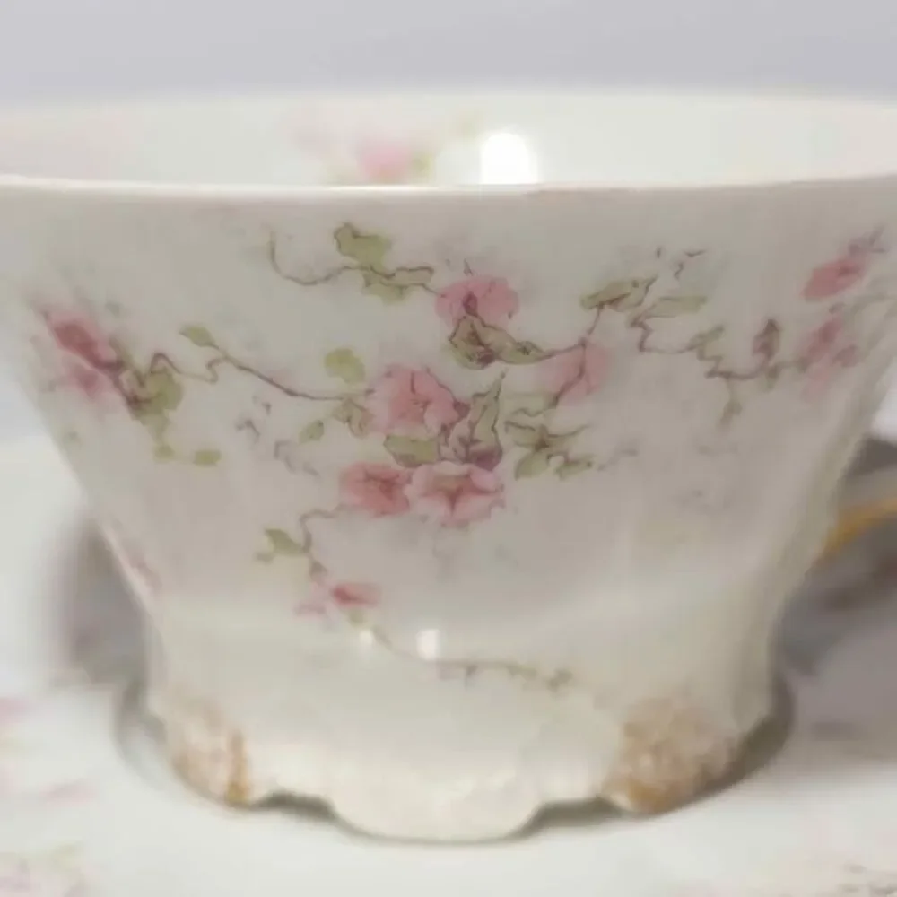 Haviland Limoges Teacup and Saucer Pink Flowers Vintage
